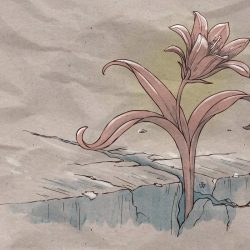 2025-08-19_sentido_solidaridad (1)