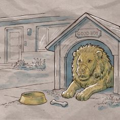 17.04.26 aslan tolerado