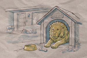 17.04.26 aslan tolerado