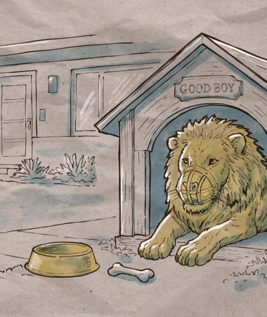 17.04.26 aslan tolerado