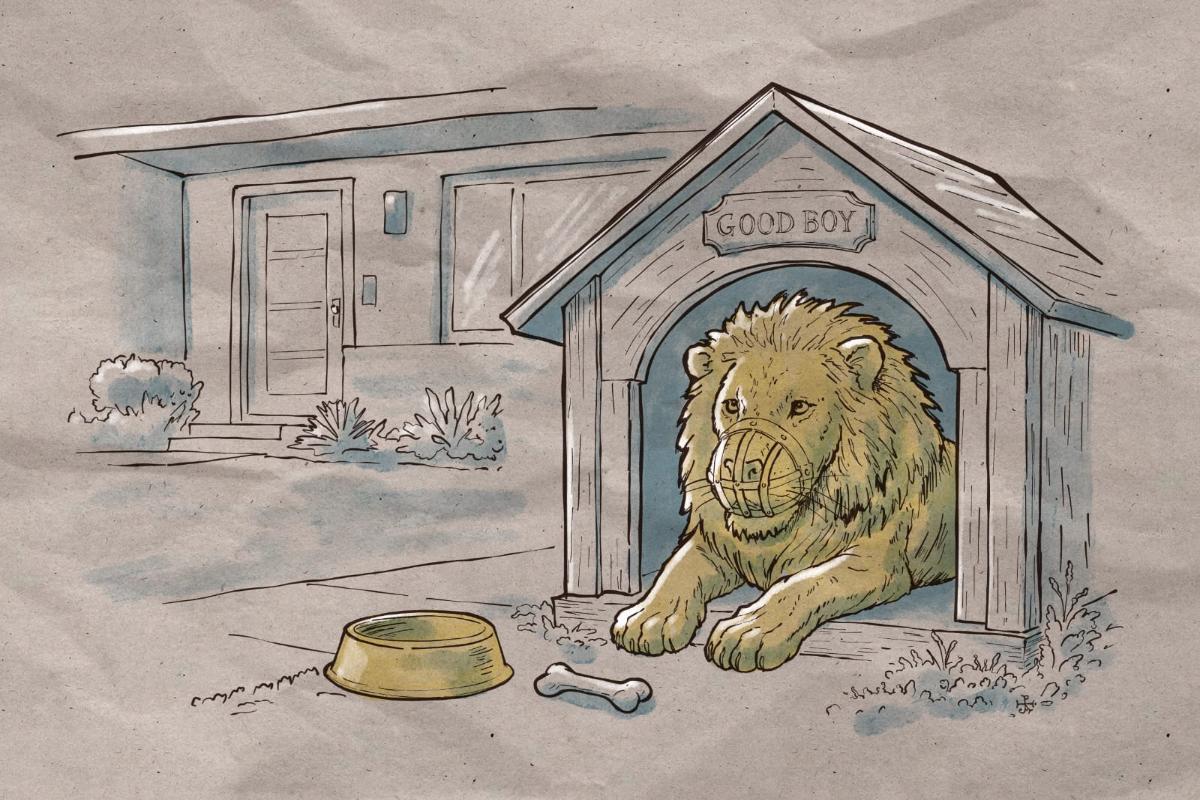 17.04.26 aslan tolerado